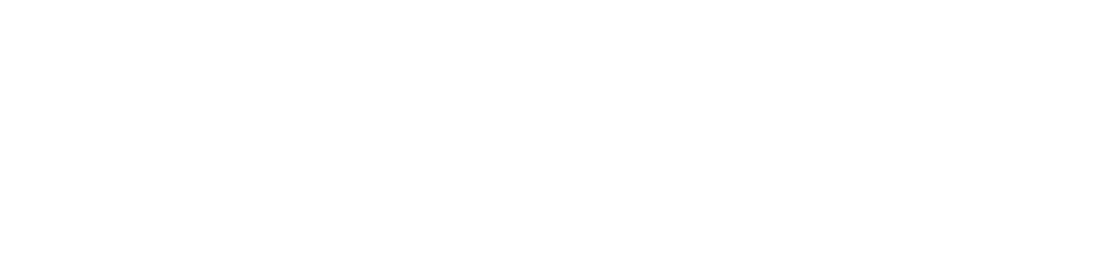 Logo Carrier in