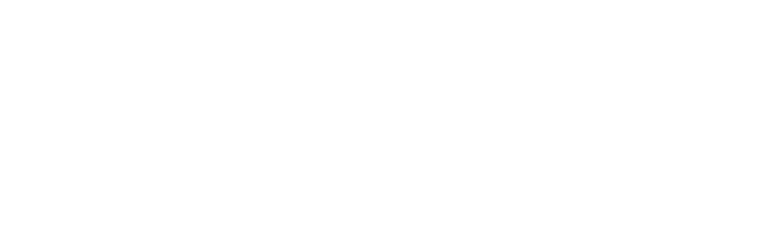 Logo Sata